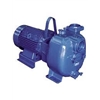 Surface Mounted Wastewater Pumps