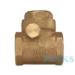 2.1/2" Brass Non Return Valve (Swing)