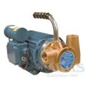 Jabsco Utility 40 230v, 1" Bronze Utility Pump