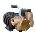 Jabsco Utility 80 230v, 1.1/2" Bronze Utility Pump